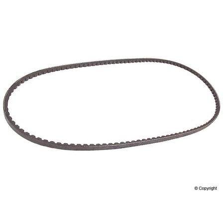 Continental 10X1165 Auto V-Belt V-Belts, 10X1165 10X1165